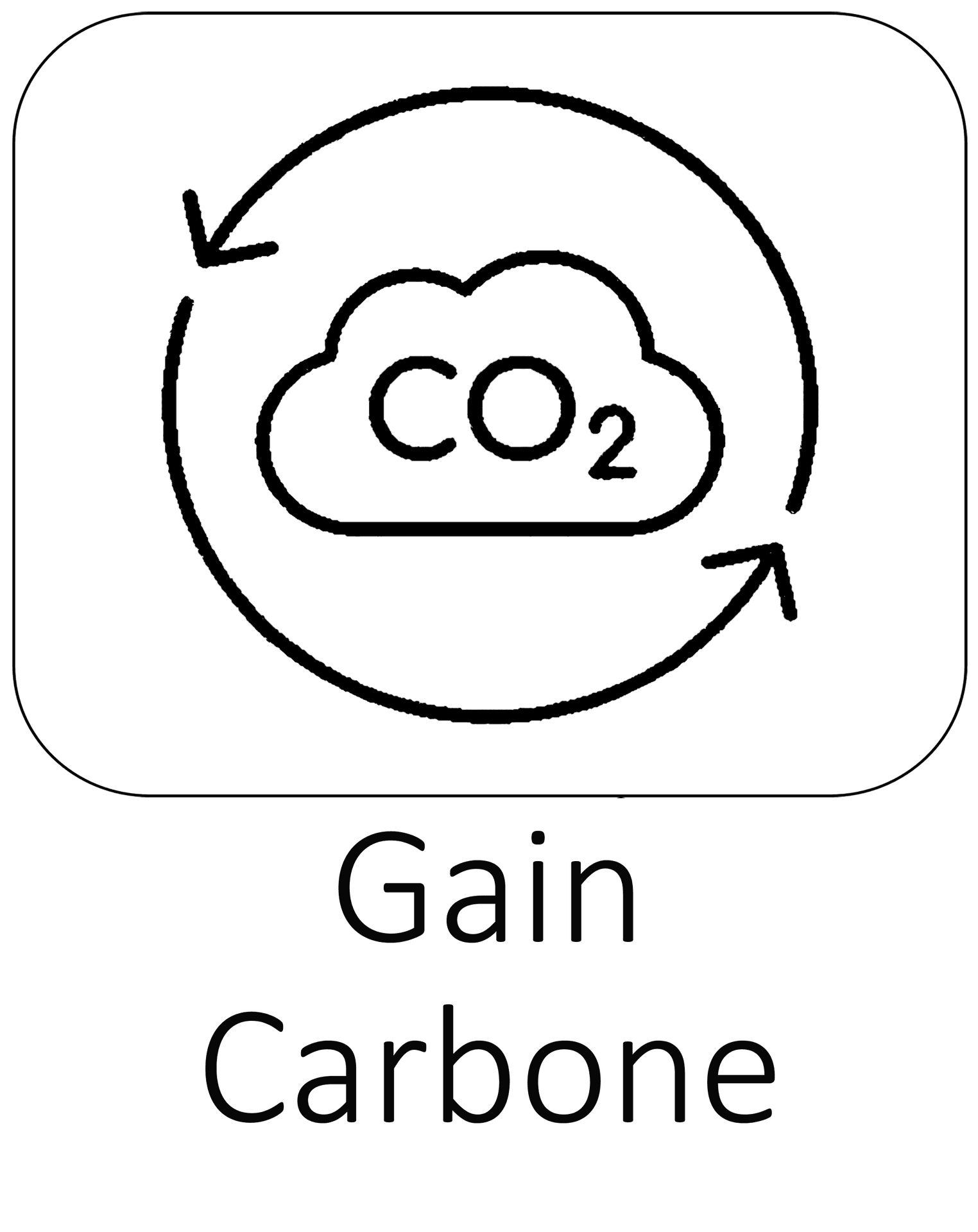 Gain carbone
